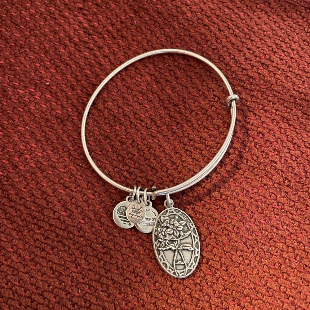 Alex and Ani Friend Charm Bangle Bracelet